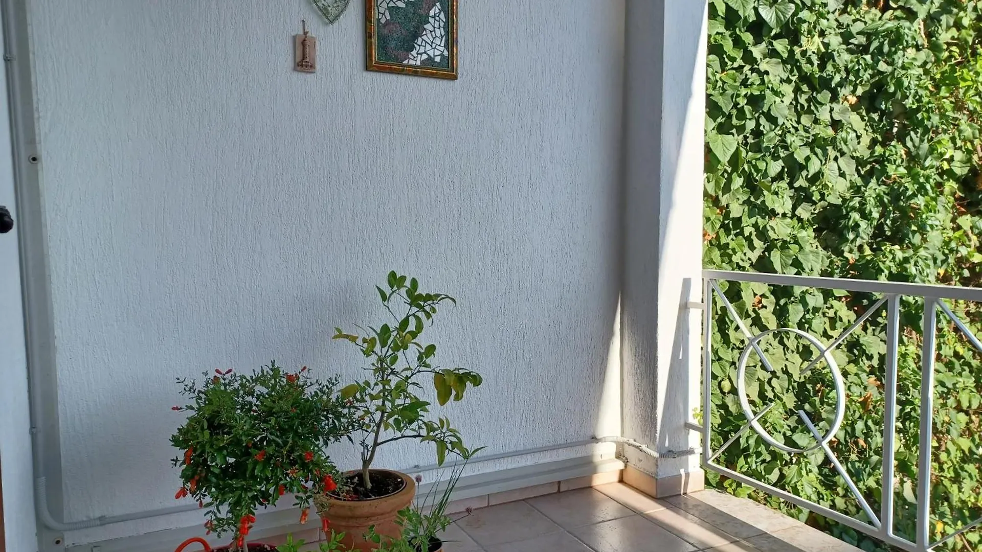Ferienwohnung Splendid Ap Promenade 2 Pers Umag 0*,